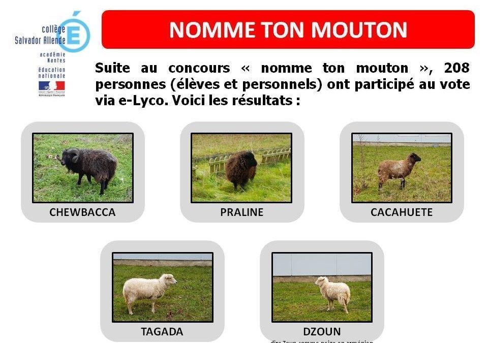 Voici leur nom !