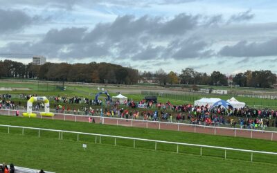 Cross Départemental à Nantes